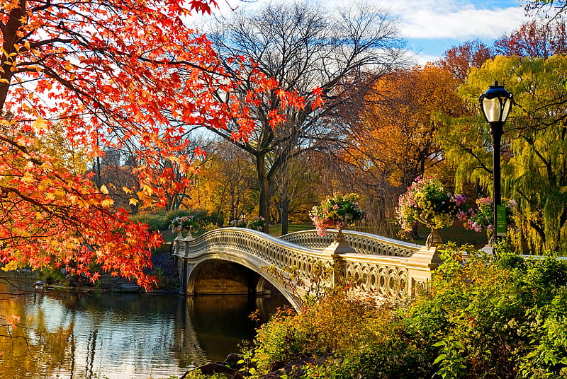 Central park in autumn, fall, autumn, lantern, travel, bonito, America, park, trees, bridge, central, flowers, river, HD wallpaper