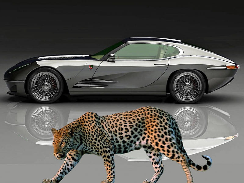 2012 Jaguar Type E, jaguar, cat, silver, car, HD wallpaper | Peakpx