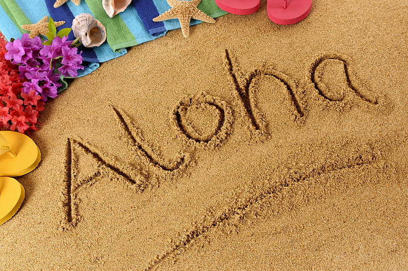 Aloha, sand, shell, hawaii, texture, flower, summer, card, HD wallpaper