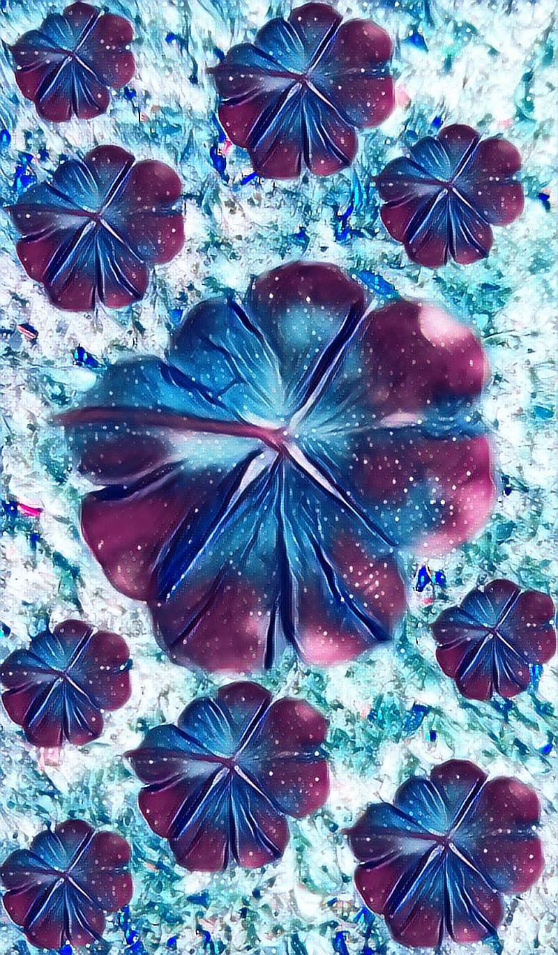 Purple Clover, clover, flower, nature, paraguas, purple, red, red, umbrella, umbrellas, HD phone wallpaper