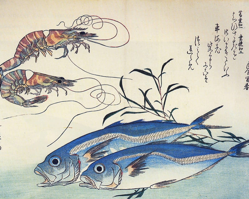 Hiroshige - Horse Mackerel and Prawns, print, japanese, woodblock, nineteenth century, HD wallpaper