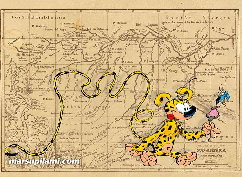Marsupilami, cartoons, yellow, comics, adorable, animal, colored, andre franquin, lovely, cartoon, cute, comic, cool, france, funny, map, spirou, HD wallpaper
