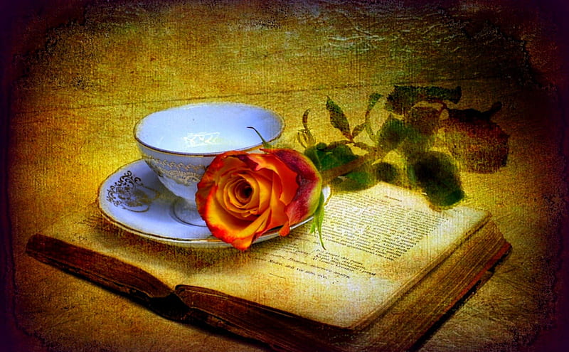 VINTAGE DELICACY, saucer, rose, book, flower, cup, HD wallpaper