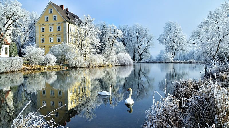 Erching Castle, Halbergmoos, Bavaria, winter, swans, snow, germany, landscape, building, lake, ice, HD wallpaper
