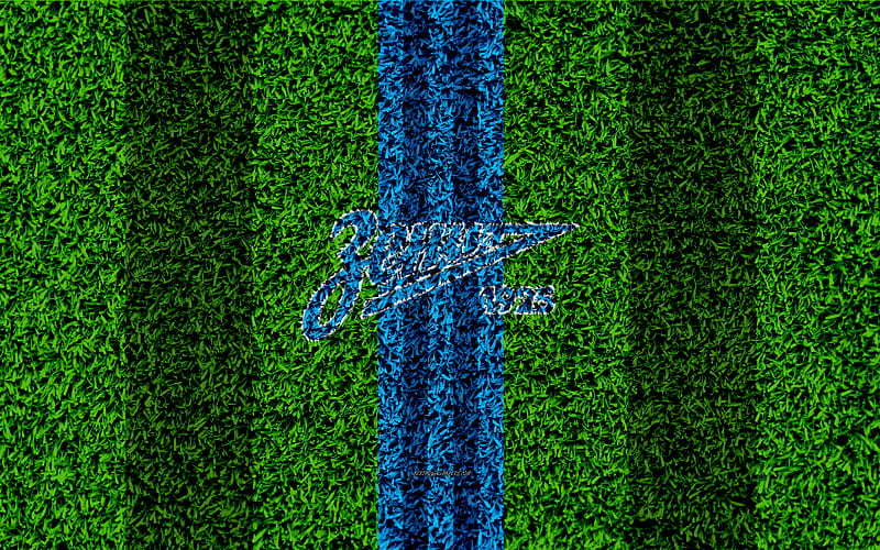 FC Zenit Saint Petersburg logo, grass texture, Russian football club, blue lines, football lawn, Russian Premier League, St Petersburg, Russia, football, HD wallpaper