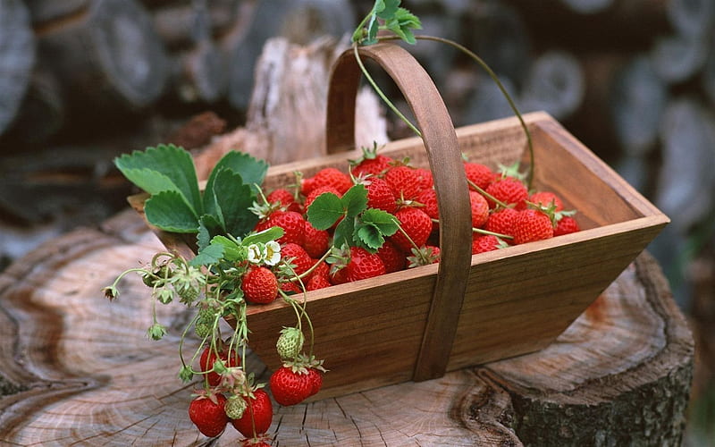 berry, basket, strawberries, stump, HD wallpaper