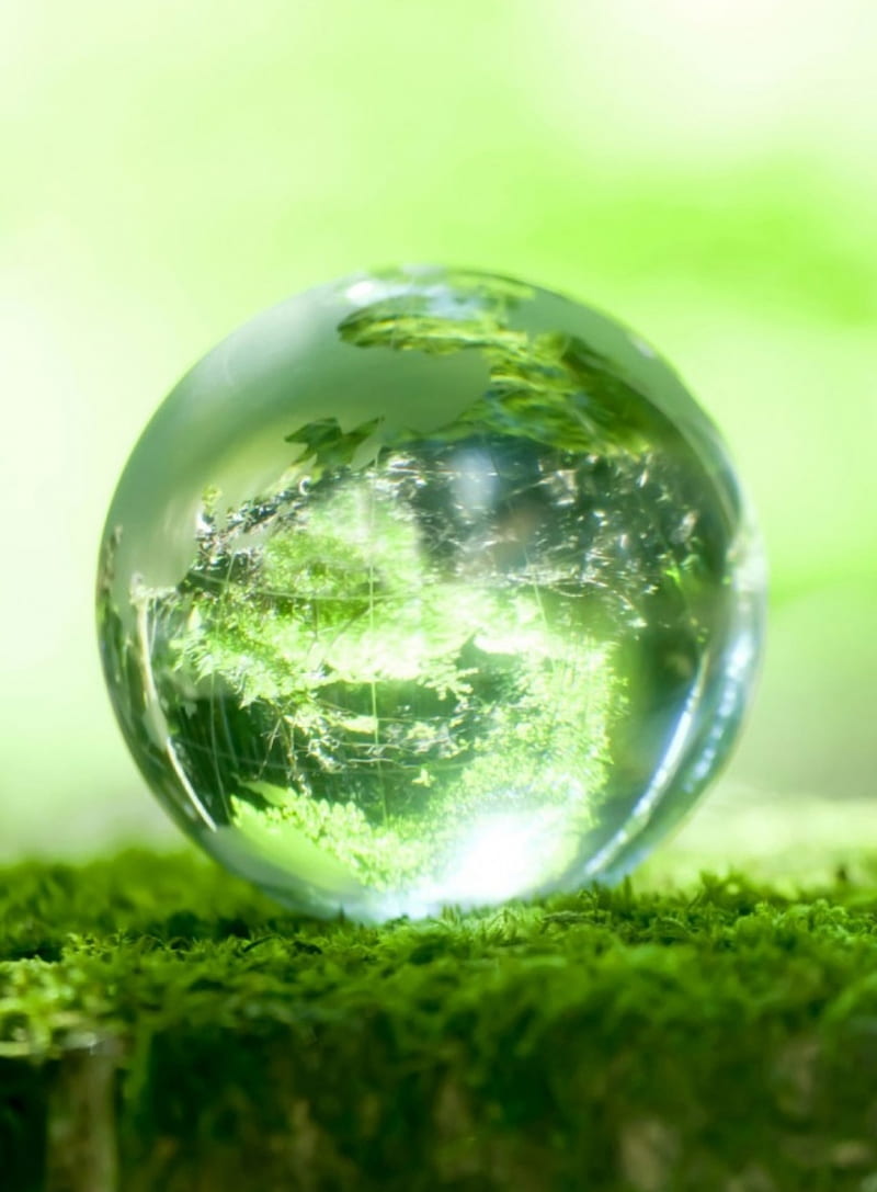 Earth Globe, grass, green, nature, HD phone wallpaper