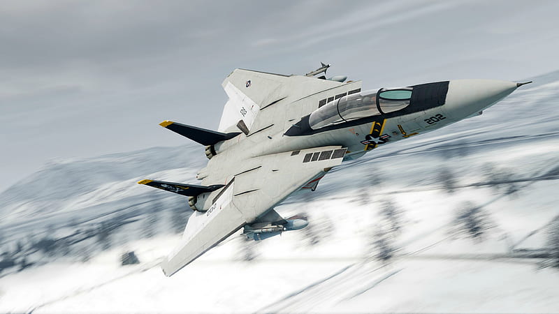 Grumman F-14D Super Tomcat, military, aircraft, usa, tomcat, HD wallpaper