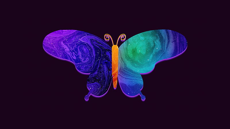 Butterfly Minimal Dark , butterfly, minimalism, minimalist, artist, artwork, digital-art, dark, black, HD wallpaper