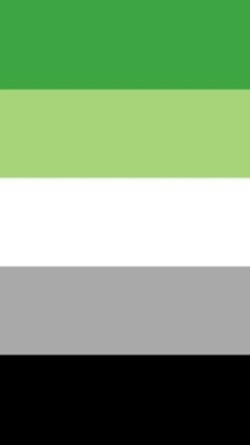 Aromantic Flag, aromantic pride, black, green, gris, light green, pride, white, HD phone wallpaper
