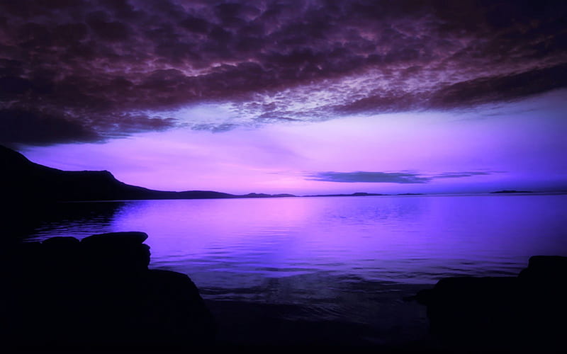 True Beauty, sky, purple, abstract, cg, HD wallpaper