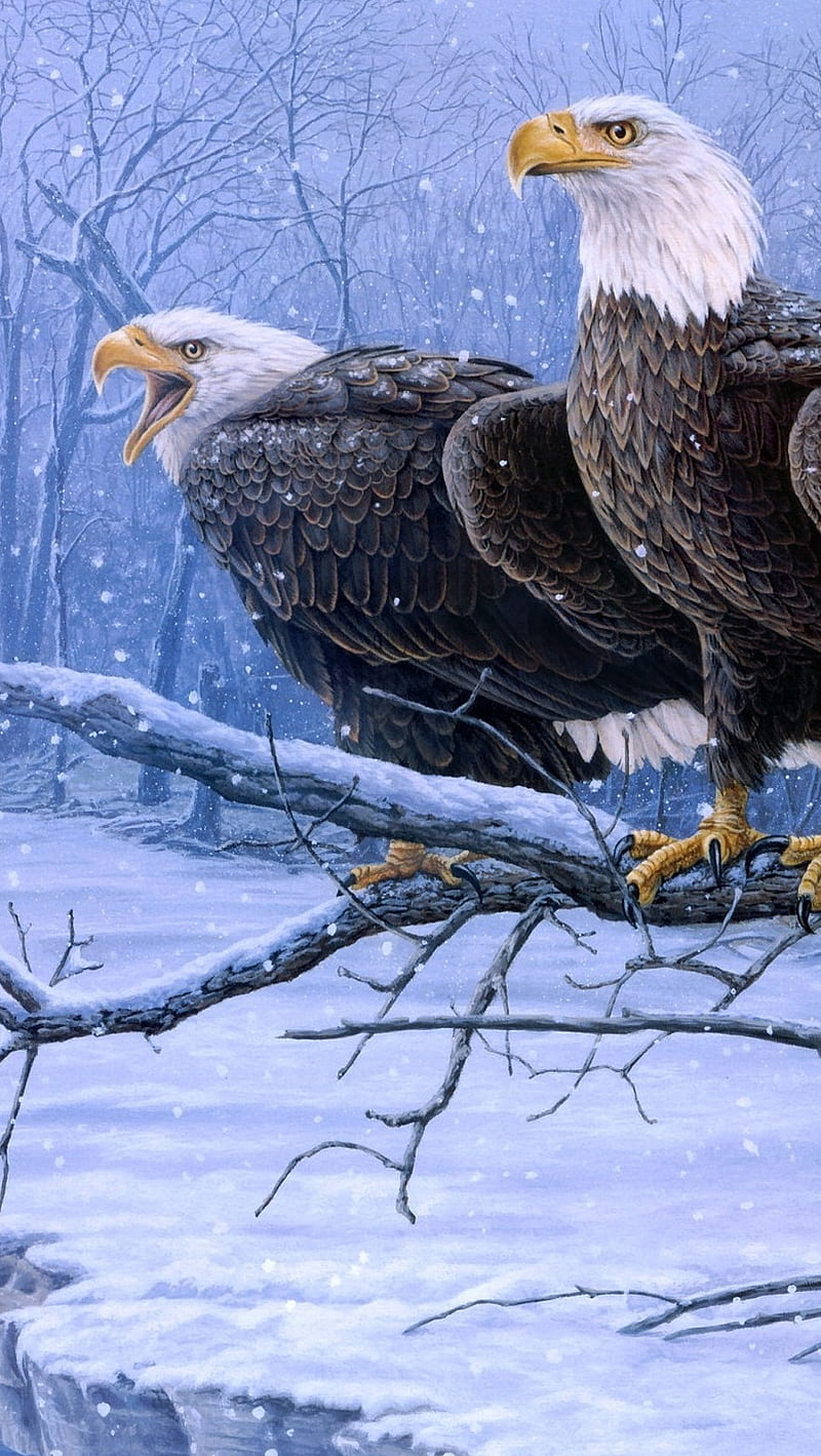 Eagles, eagle, snow, tree, usa, white, HD phone wallpaper