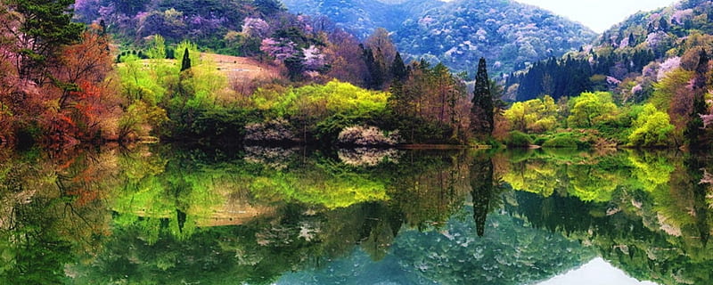 Seryang-je Lake, South Korea, hills, red, forest, reservoir, bonito, spring, trees, lake, green, reflection, pink, blue, HD wallpaper