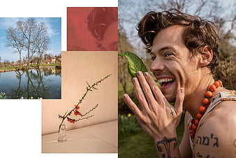 Where Is 'Harry's House'? Unpacking Harry Styles's Mysterious New Album  Cover, Architectural Digest