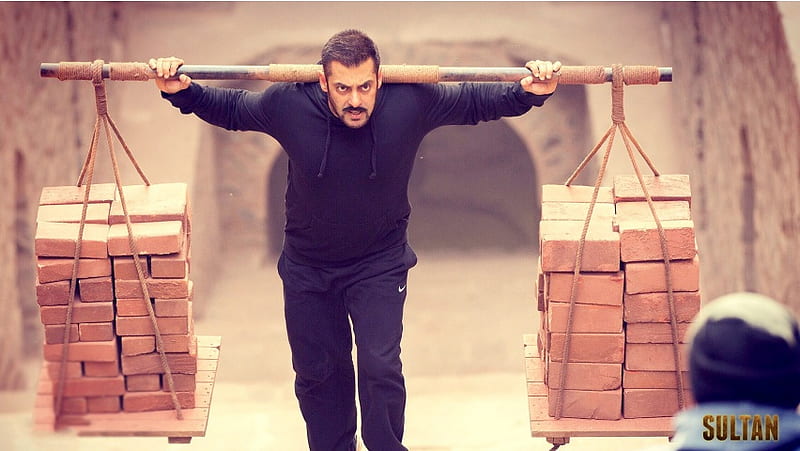 Salman Khan In Sultan Movies, HD wallpaper