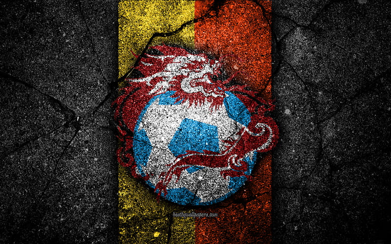 Bhutan football team, logo, AFC, football, asphalt texture, soccer, Bhutan, Asia, Asian national football teams, Bhutan national football team, HD wallpaper