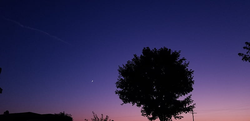 Venus and the moon , summer, pnw, sky, sunset columbia basin, ephrata, night, sunset, minimalism, HD wallpaper