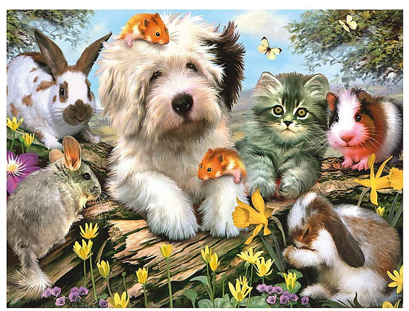 ANIMAL FRIENDS, DOG, RABBIT, HAMSTER, CAT, HD wallpaper