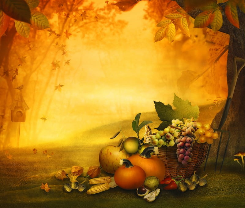 Harvest - thanksgiving, forest, colorful, fall, harvest, bonito, thanksgiving, fruit, bird, pumpkin, birdhouse, peaceful, color, nature, pumpkins, HD wallpaper