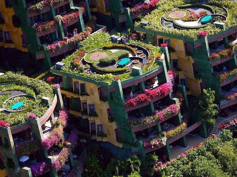 Garden Apartments, gardening, window, box, rooftop, city, planter, urban, flowers, garden, HD wallpaper