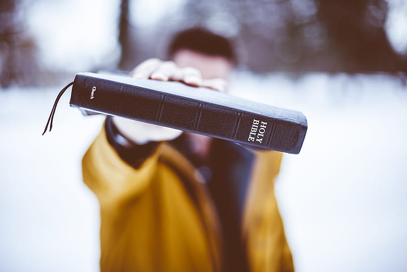 person holding Holy Bible, HD wallpaper