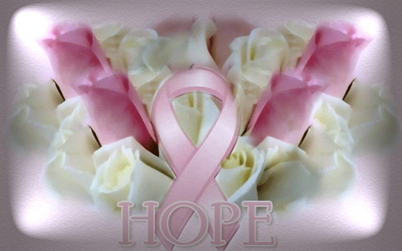 Lights of Hope, ribbon, breast, bonito, soft, cancer awareness, quote, flowers, beauty, nature, HD wallpaper