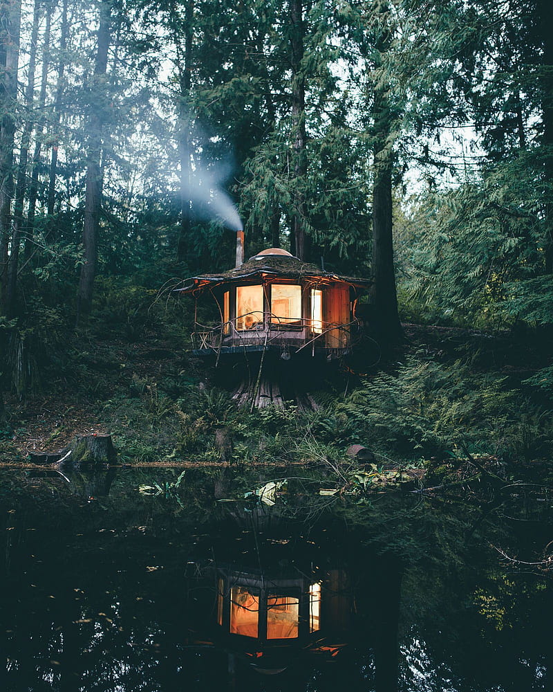 trees, forest, nature, portrait display, cabin, smoke, lights, lake, water, reflection, HD phone wallpaper