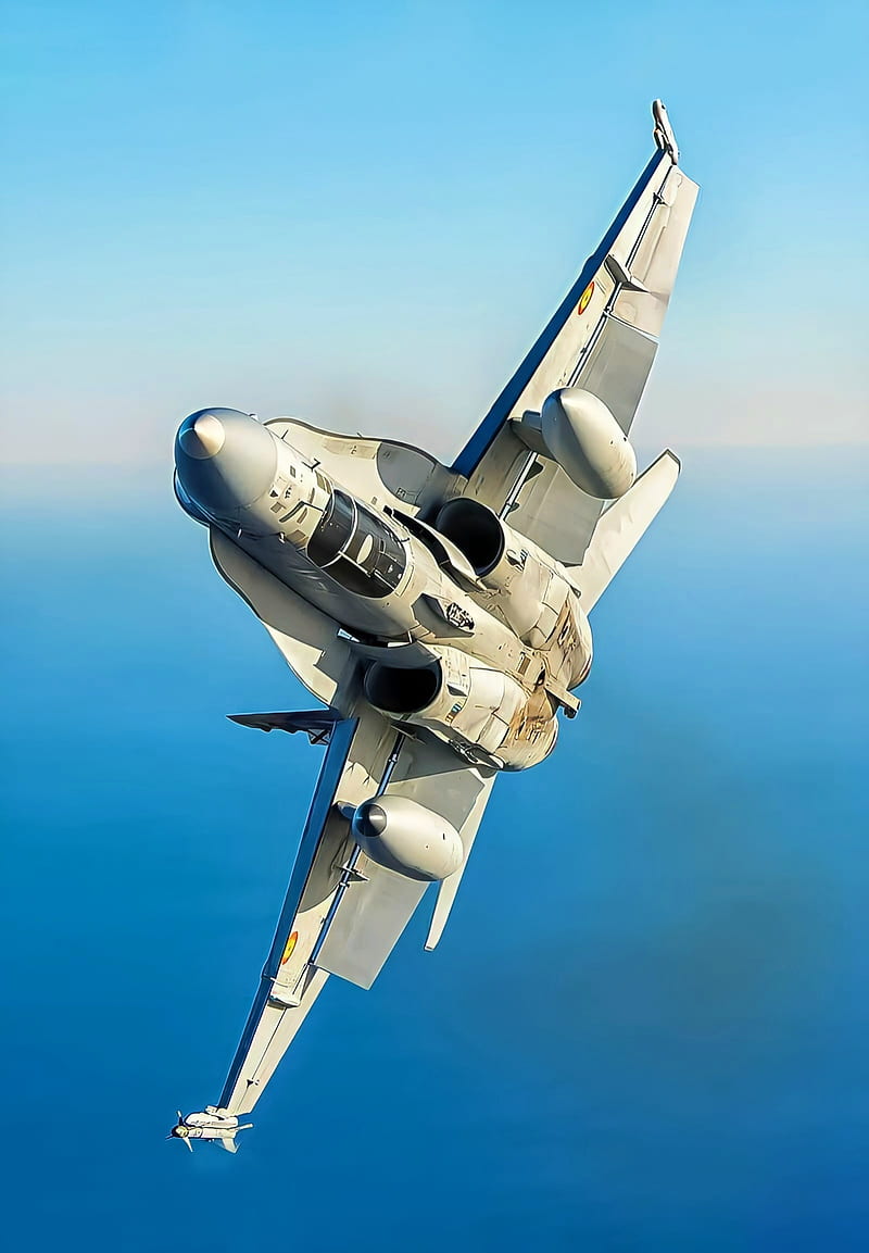 F-18 Hornet , air, force, jet, jets, pilot, plane, planes, usa, HD phone wallpaper