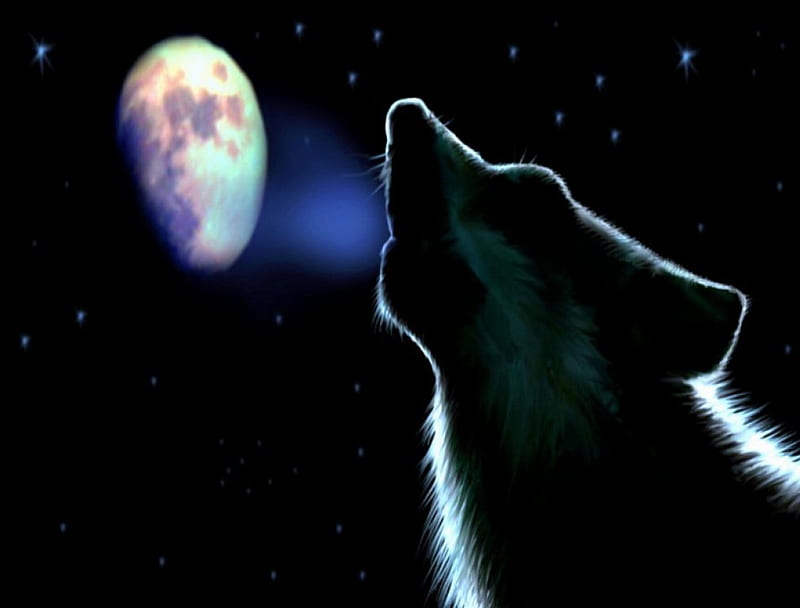 Night song, moon, wolf, howl, night, HD wallpaper | Peakpx