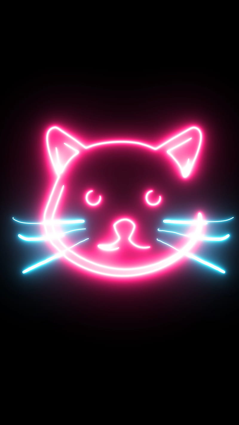 Neon Cat HD Wallpapers  Top Free Neon Cat HD Backgrounds  WallpaperAccess