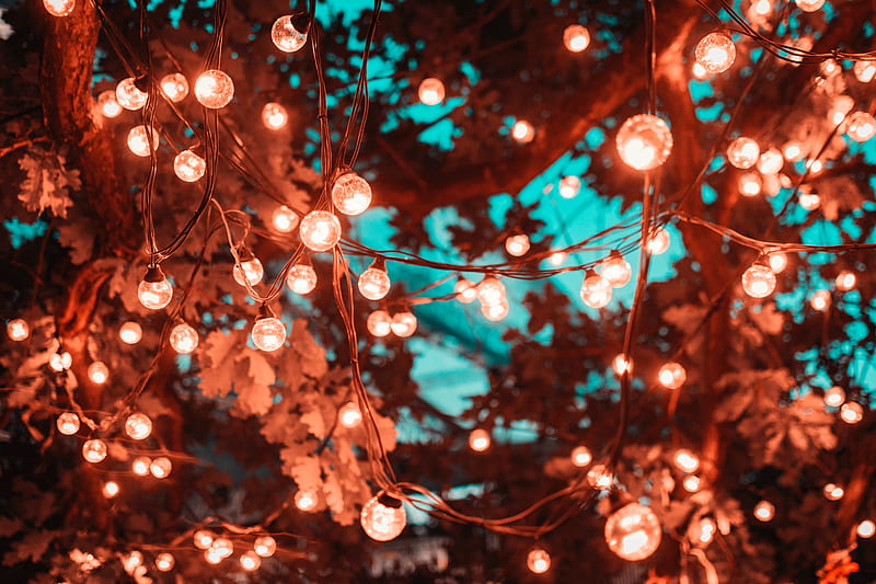 christmas lights desktop wallpapers