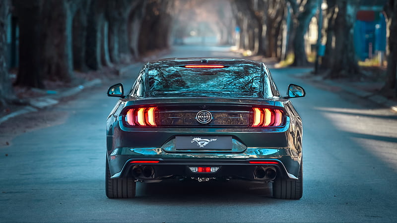 Ford Mustang Bullitt 2019 4, HD wallpaper