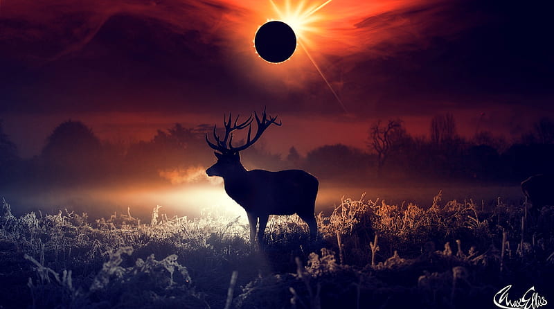 Deer Fantasy Art, deer, artist, artwork, digital-art, animals, HD wallpaper