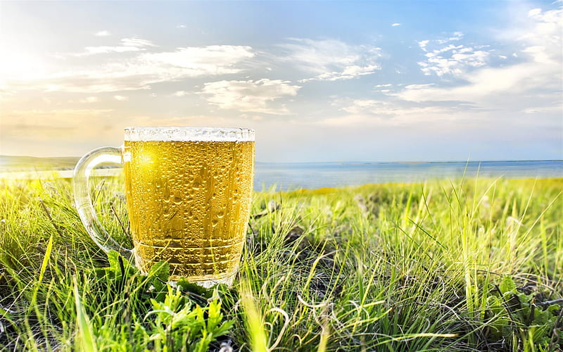beer, glass of beer, drinks, sun, HD wallpaper