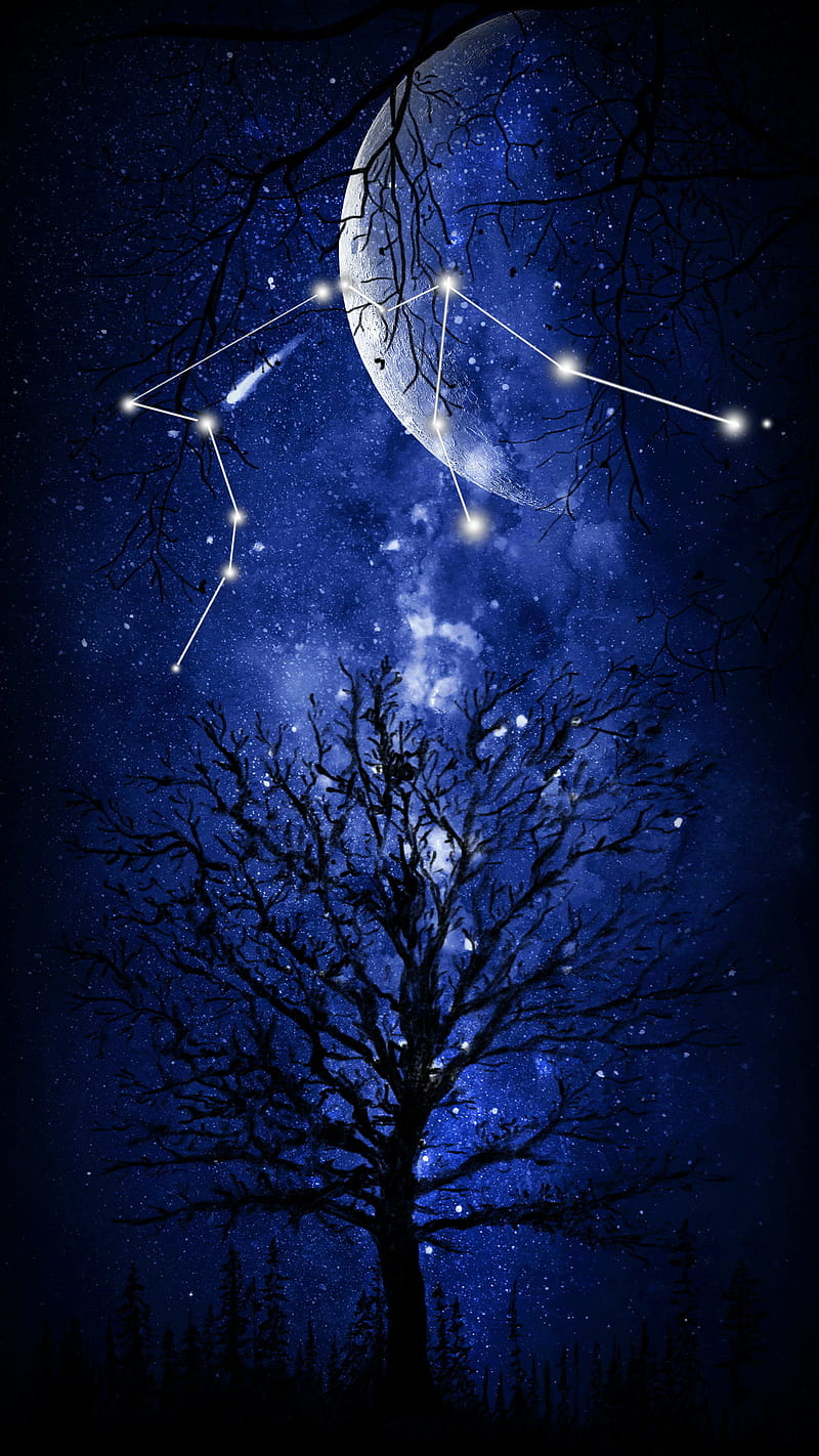 Aquarius, blue, galaxy, moon, night, sign, space, stars, tree, zodiac, HD phone wallpaper