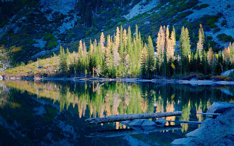 Autumn, larchs, trees, mountains, lake, reflection, HD wallpaper