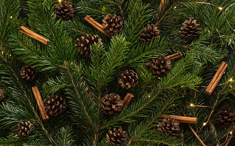 Green christmas tree with cones, cinnamon sticks, green christmas tree branches, cones, green christmas background, tree textures, HD wallpaper