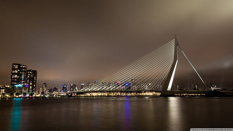 erasmus bridge rotterdam netherlands, city, bridge, night, lights, HD wallpaper