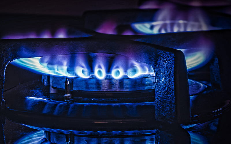 blue gas fire, gas flames, gas concepts, blue flame, blue fire on a black background, fuel concepts, HD wallpaper
