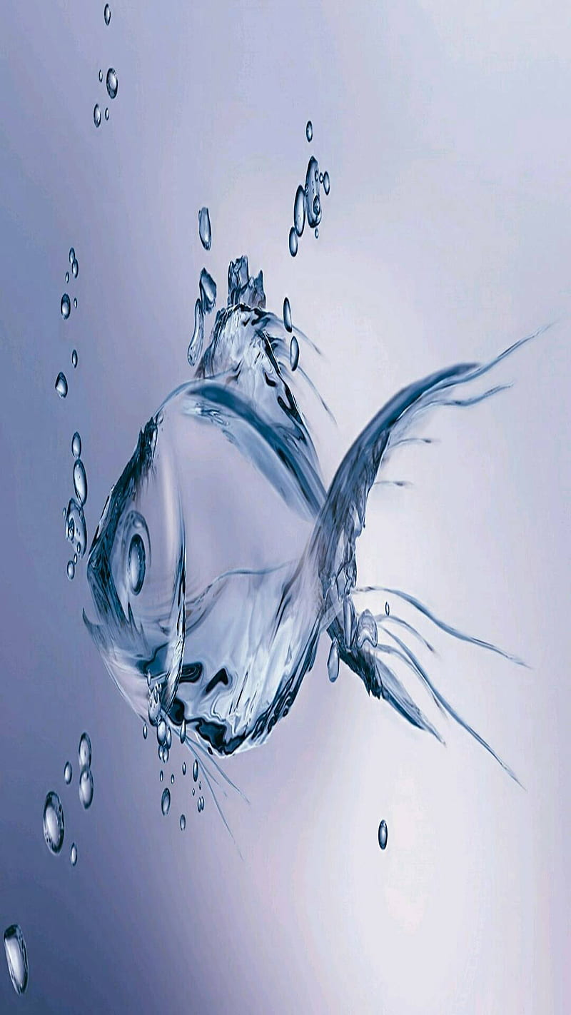 Fish 3d, fish 3d, HD phone wallpaper | Peakpx
