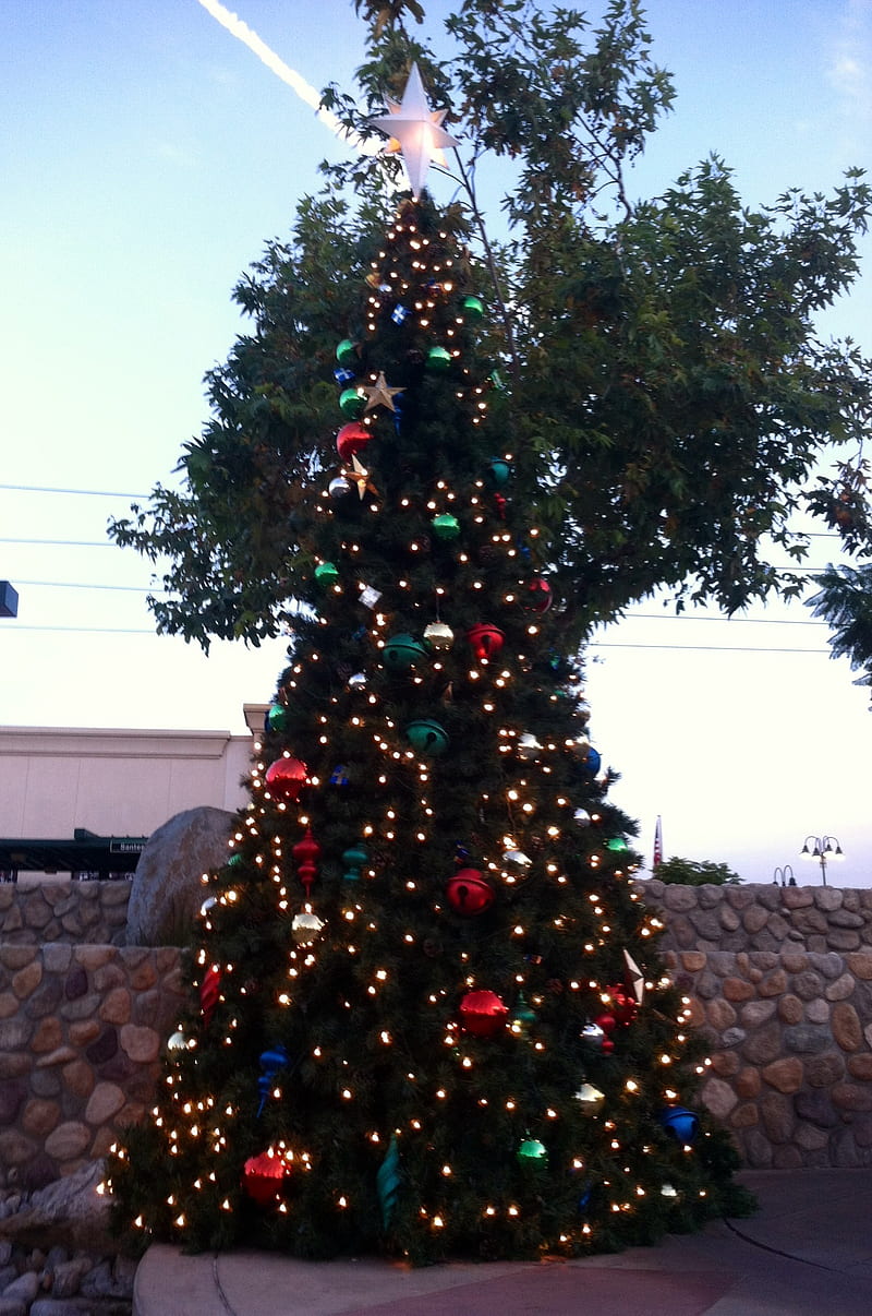 Christmas Tree, santee, santee town center, HD phone wallpaper