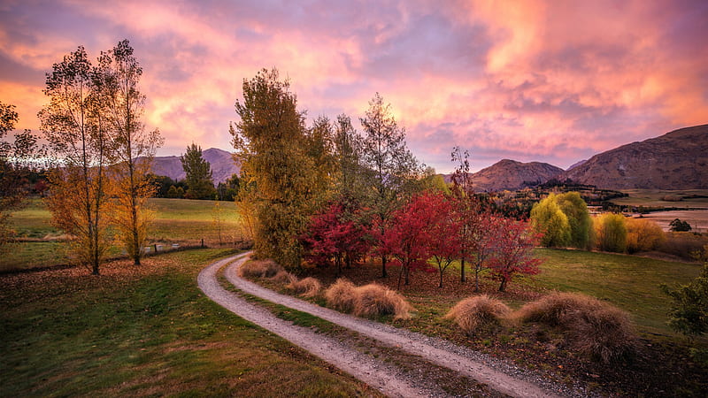 Path Between Green Red Leaves Trees And Landscape View Of Mountains Under Yellow Black Clouds Sky Nature, HD wallpaper