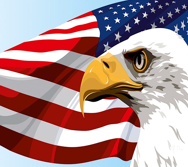 U States Flag Eage, eagle, u states flag, HD wallpaper