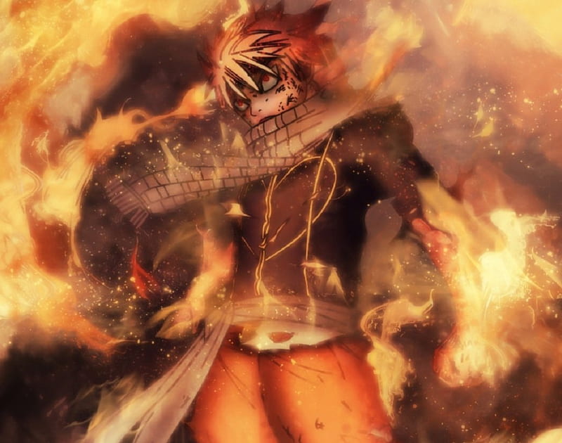 Fairy Tail, Anime, Manga, Natsu Dragneel, Fire, Dragon, Mage, Father And  Son, HD wallpaper