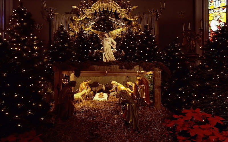 Beautiful Nativity Scene, nativity, holidays, jesus, christmas, church, manger, HD wallpaper