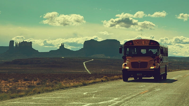 school bus, school, desert, road, bus, HD wallpaper