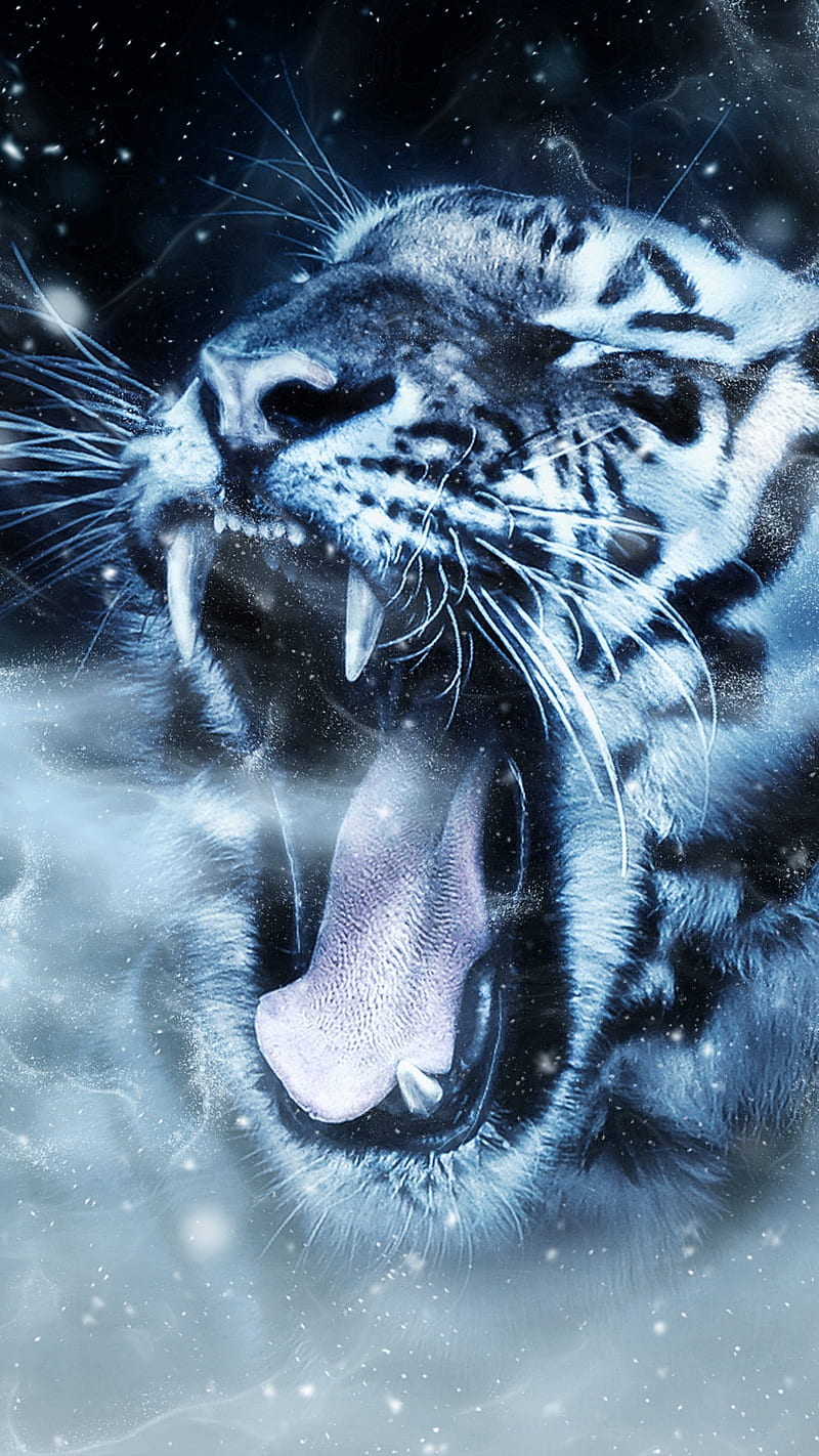 Tiger Roar , muzzle, grin, predator, yawn, wild, animal, angry, HD phone wallpaper
