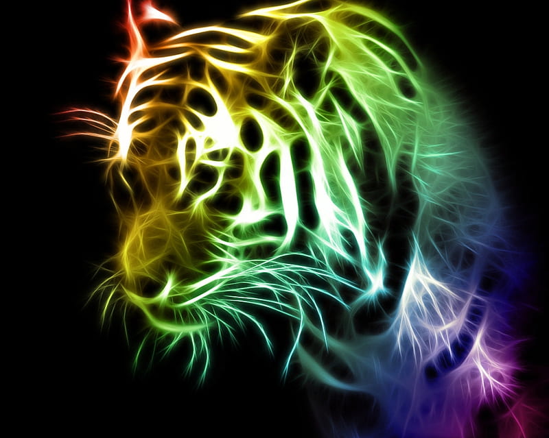 Rainbow tiger, animals, big cats, tiger, HD wallpaper