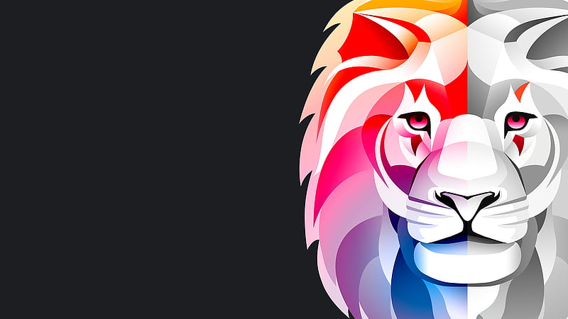 Lion Art, HD wallpaper