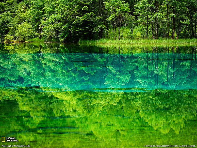 Five Flower Lake China-National Geographic magazine, HD wallpaper | Peakpx